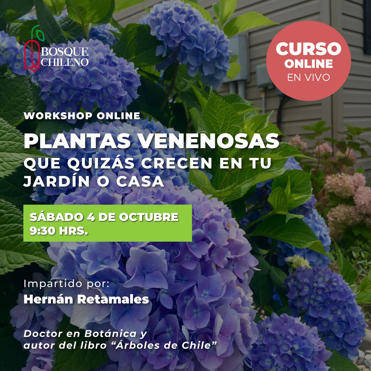 Workshop online: Plantas venenosas que quizás crecen en tu jardín o casa