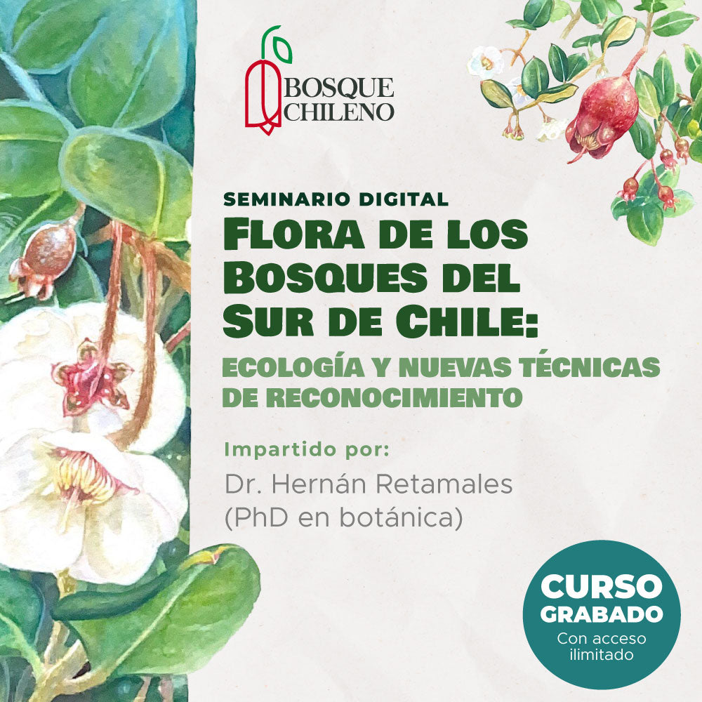 Curso digital: Flora de los Bosques del Sur de Chile