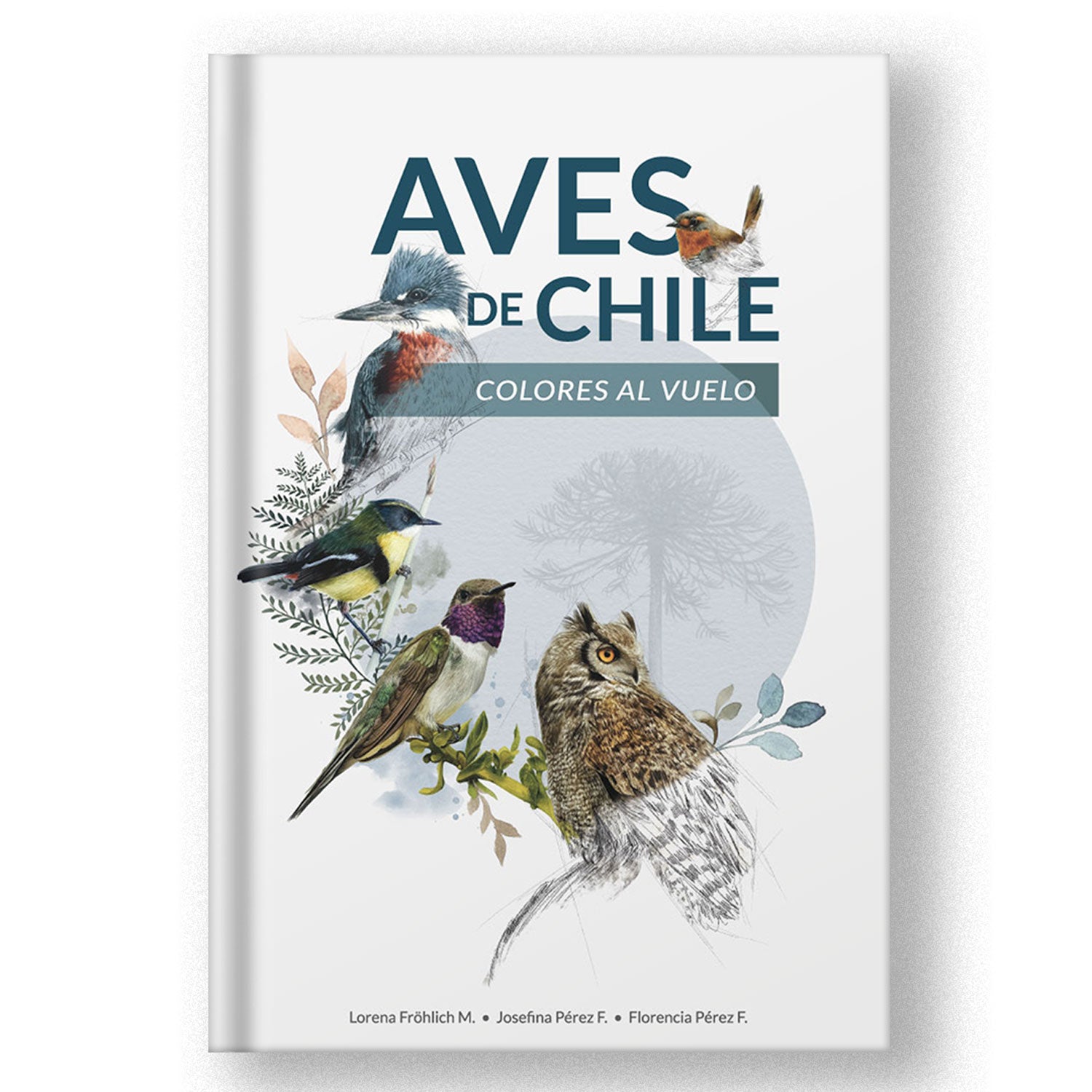 Aves de Chile: Colores al vuelo (tapa dura) - ENVÍO GRATIS
