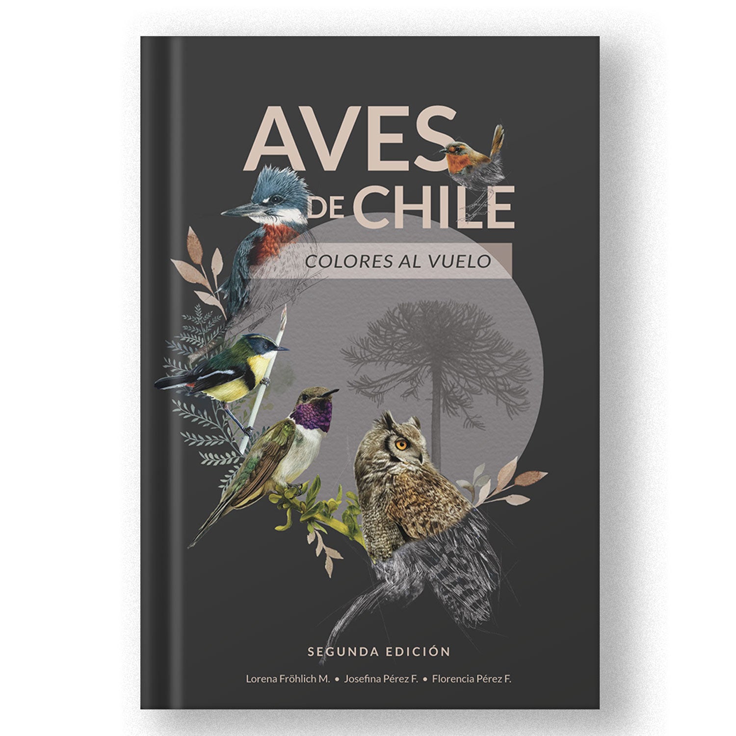 Aves de Chile: Colores al vuelo - Segunda edición