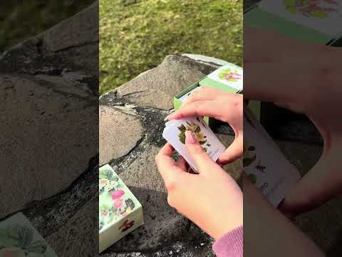 Memorice Bosque Chileno