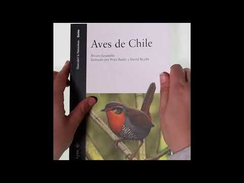 Libro Aves de Chile - Álvaro Jaramillo