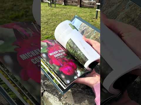 Arbustos y árboles del sur de Chile y patagonia