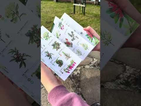 Guía de bolsillo - Flora de los bosques de Chile