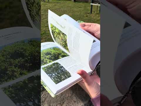 Árboles de Chile - Segunda edición (Tapa dura)