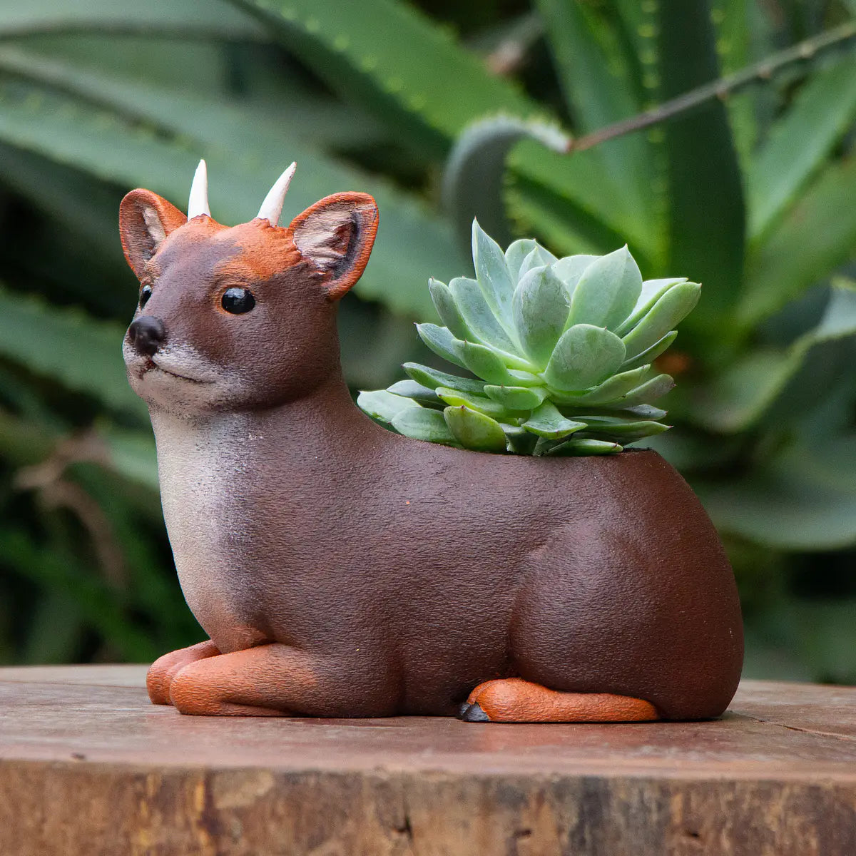 Macetero Fauna Chilena 3D