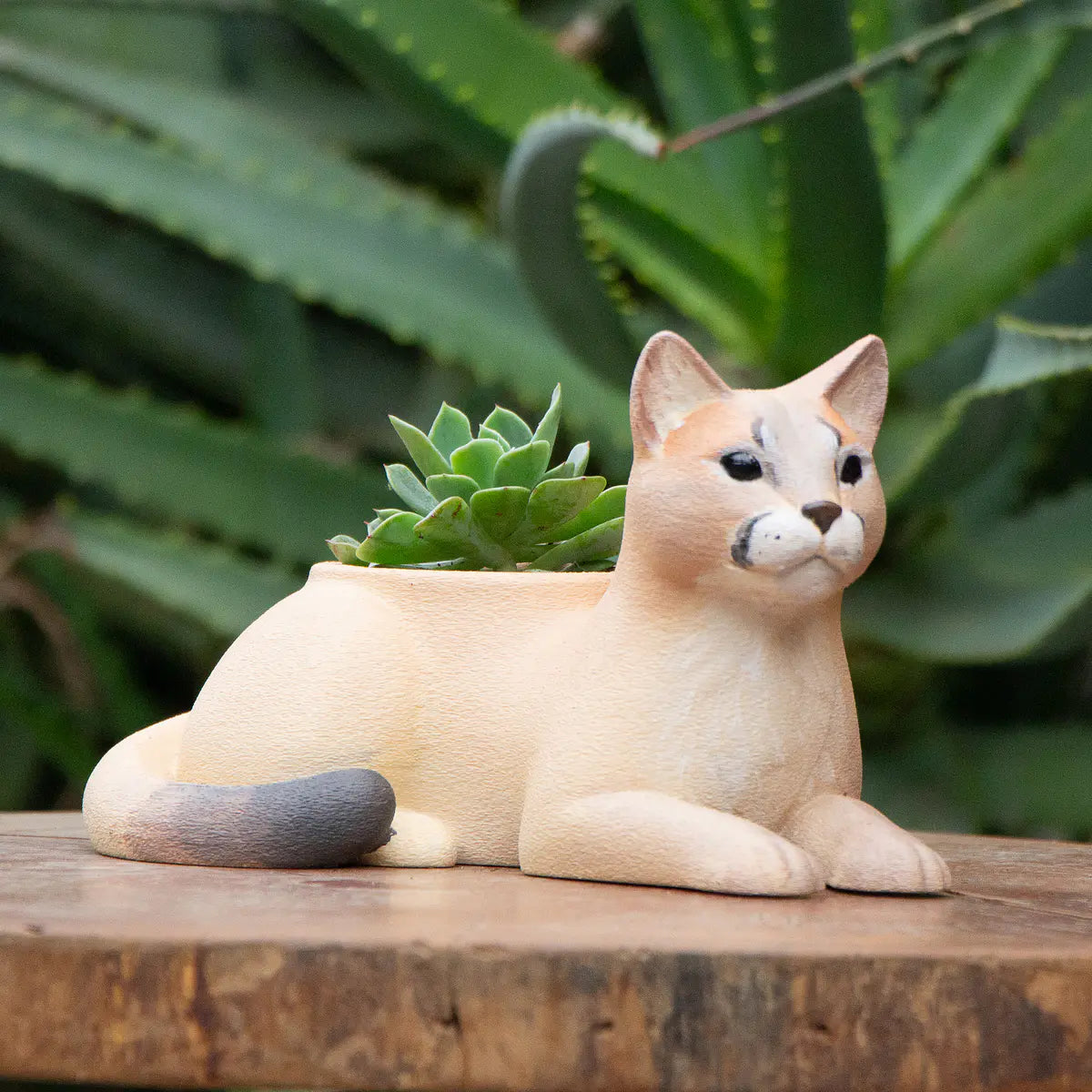 Macetero Fauna Chilena 3D