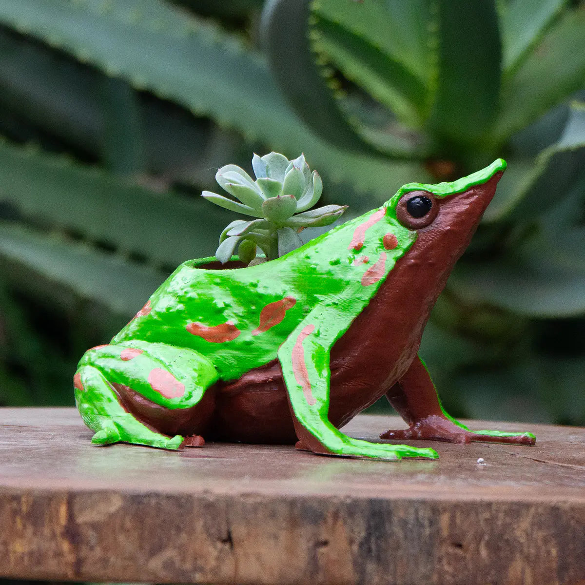 Macetero Fauna Chilena 3D