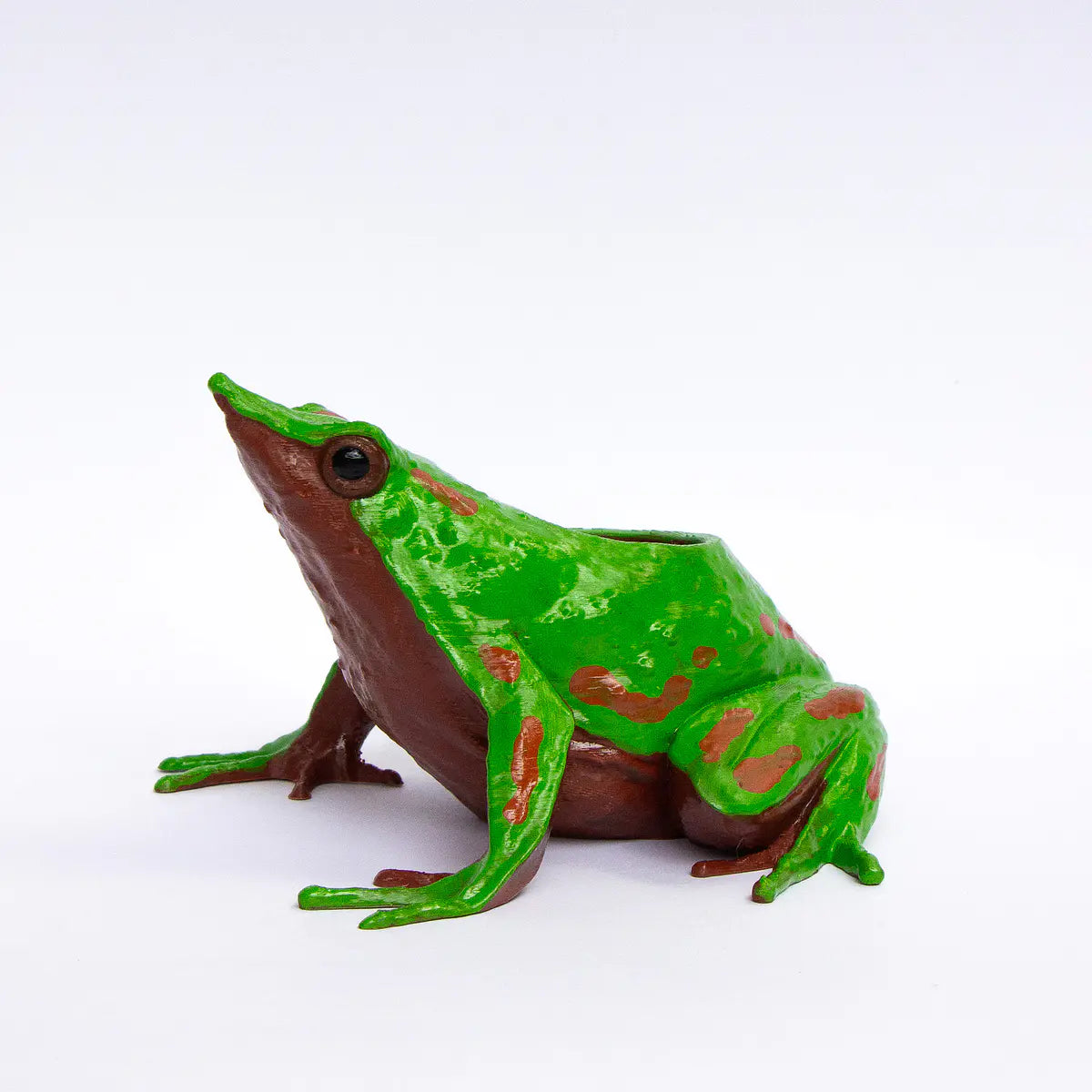 Macetero Fauna Chilena 3D