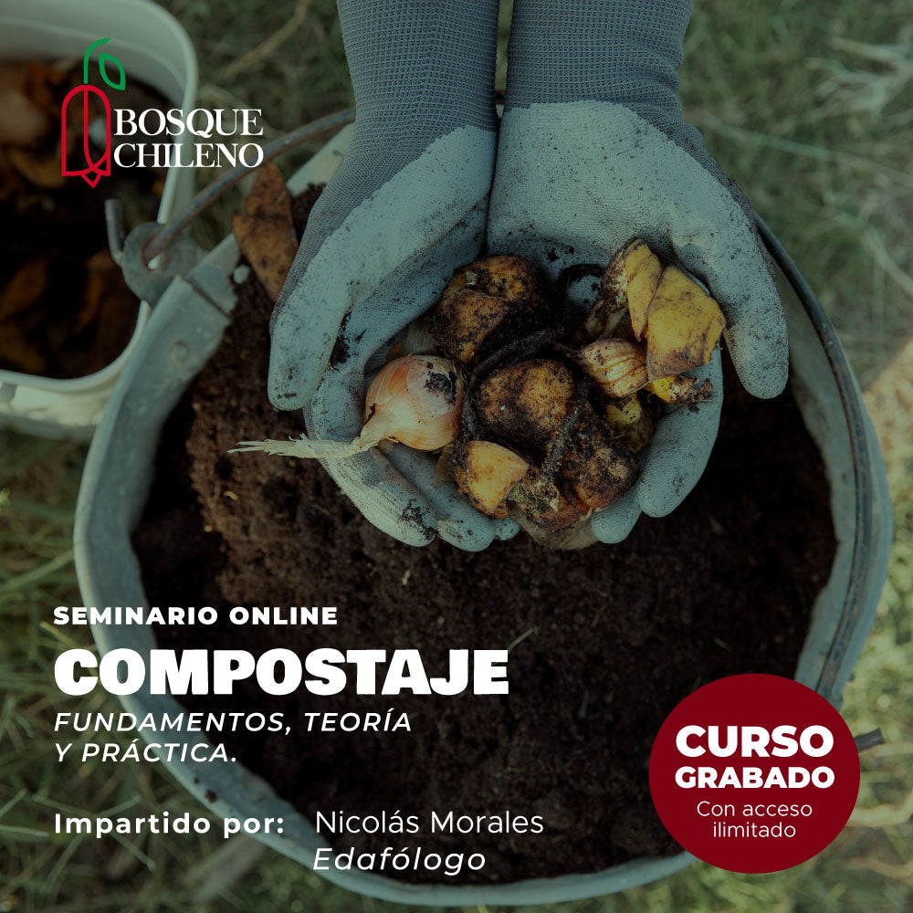Curso digital: Compostaje