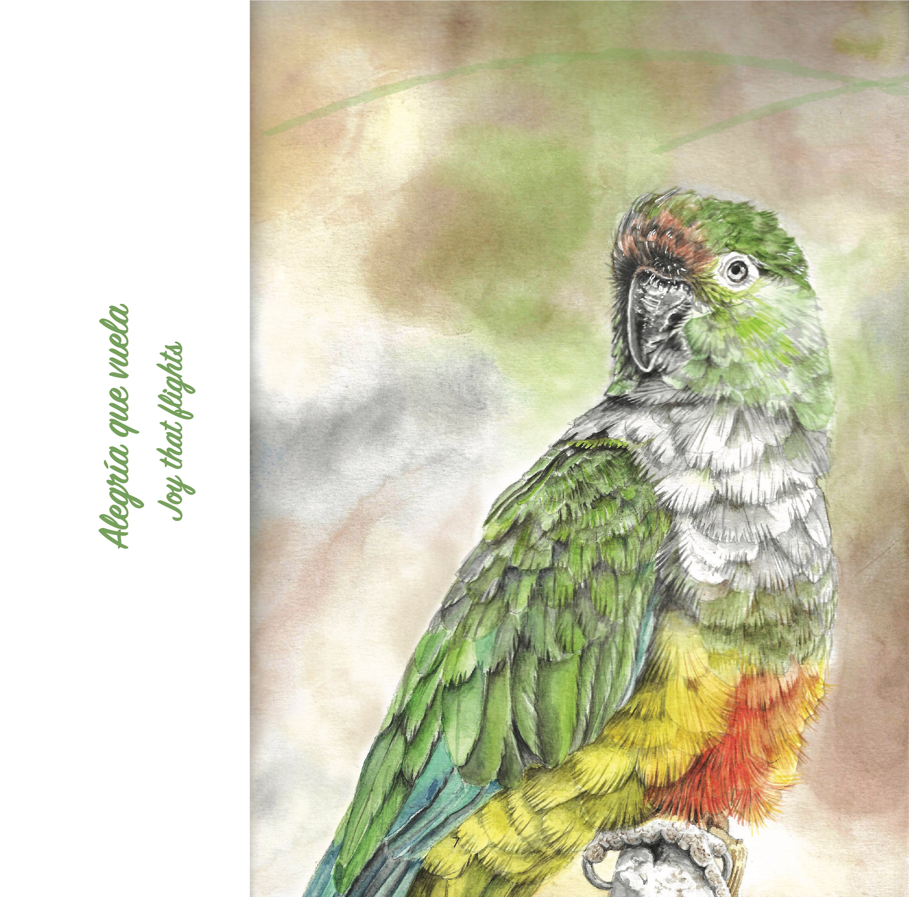 Fauna Chilena - 15 acuarelas