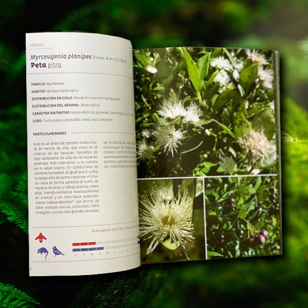Libro botánica ecológica 1
