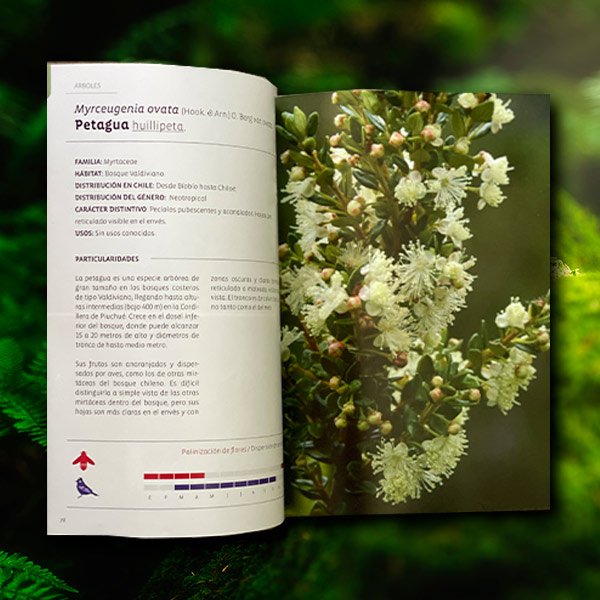 Libro botánica ecológica 2