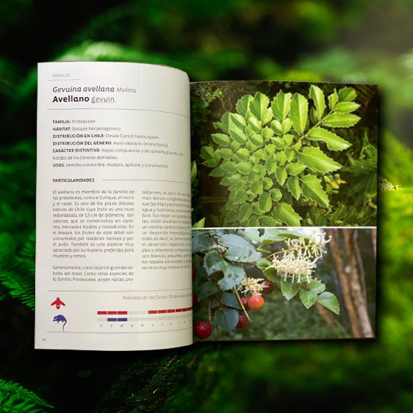 Botánica Ecológica Segunda Edición