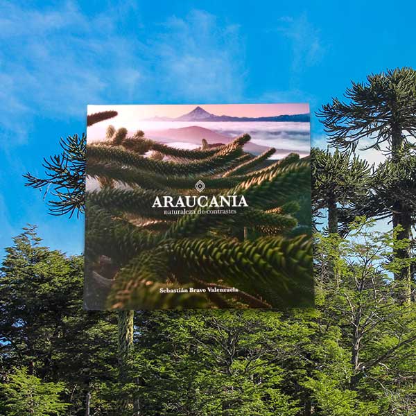Araucanía - Naturaleza de contrastes