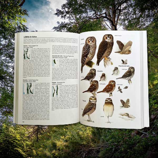 Libro Aves de Chile - Álvaro Jaramillo