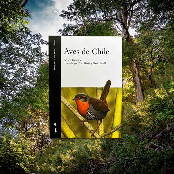 Libro Aves de Chile - Álvaro Jaramillo