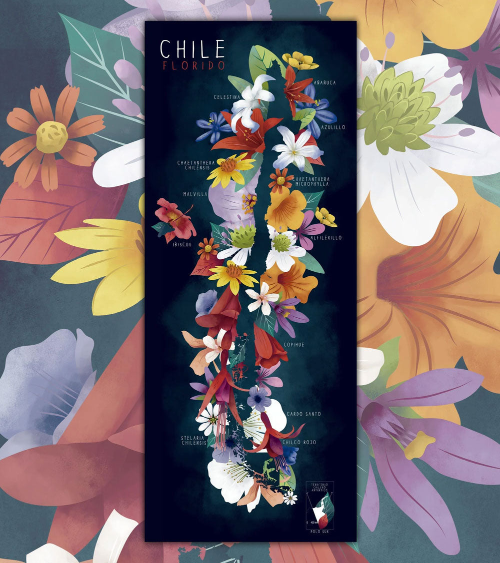 Mapa ilustrado - Chile florido (lámina)