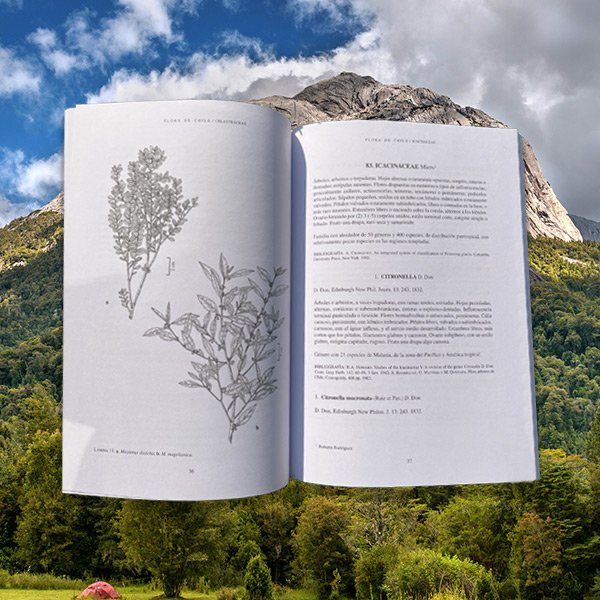 Flora de Chile Volumen 3 (Pack de 2 libros)