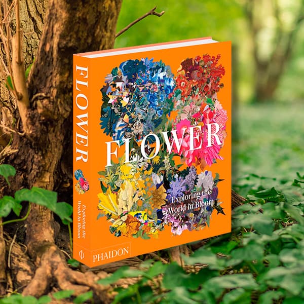 Flower. Exploring the World in Bloom Bosquechileno