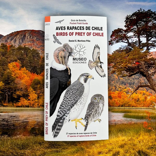 Guía de Bolsillo - Aves rapaces de Chile