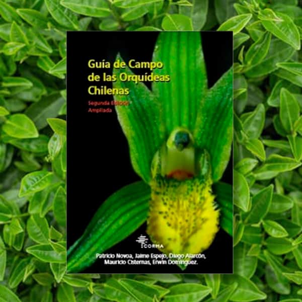 Guía de Campo de las Orquídeas Chilenas
