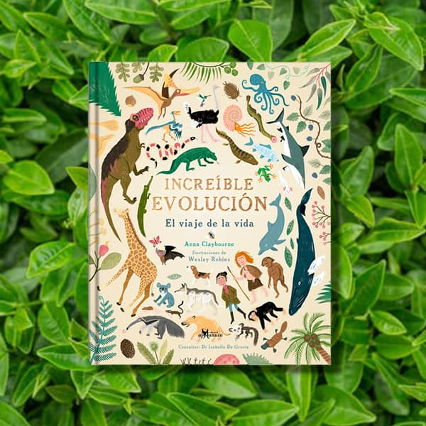 Increible Evolución