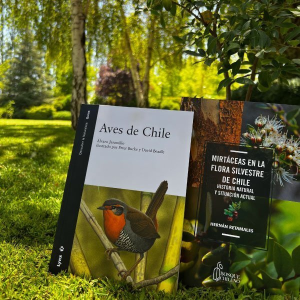 Pack Bosque y aves: Aves de Chile + Mirtáceas en la Flora de Chile