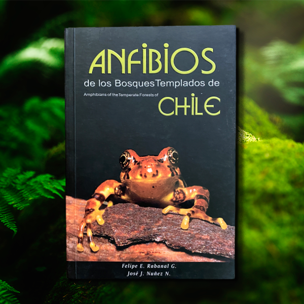 Anfibios de los Bosques Templados de Chile