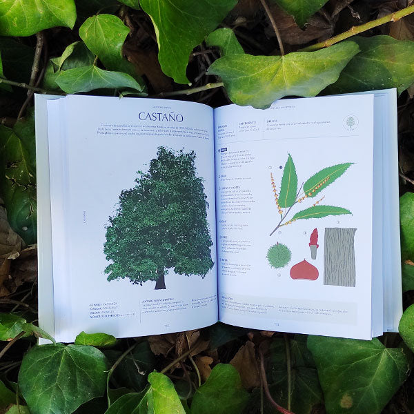 Los árboles y sus secretos - guía ilustrada para conocer y amar a los árboles