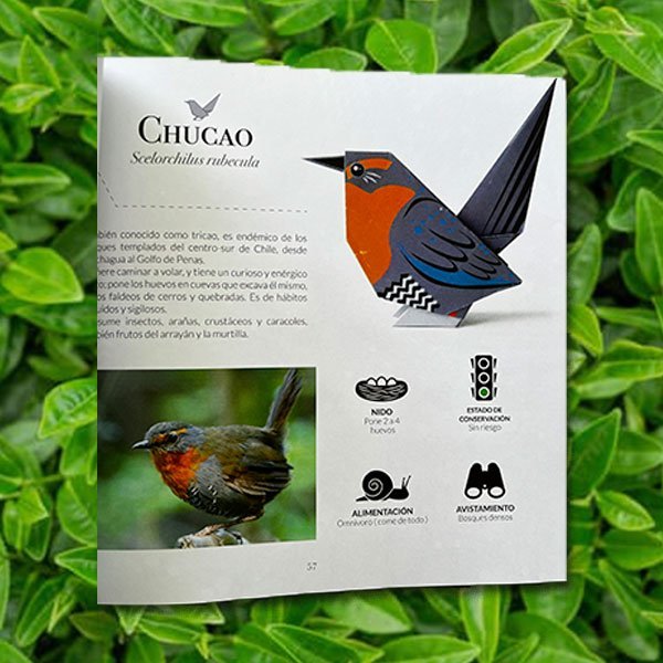 Aves de Papel - Pájaros de Chile en Origami - Segunda edición