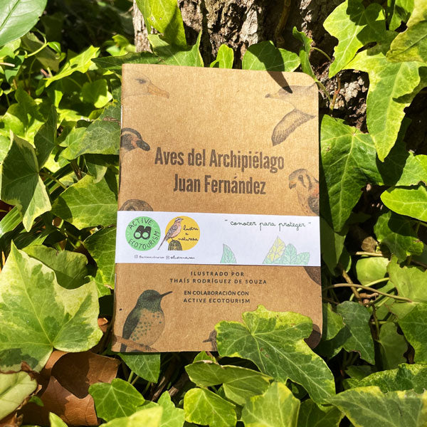 Aves del Archipiélago de Juan Fernández