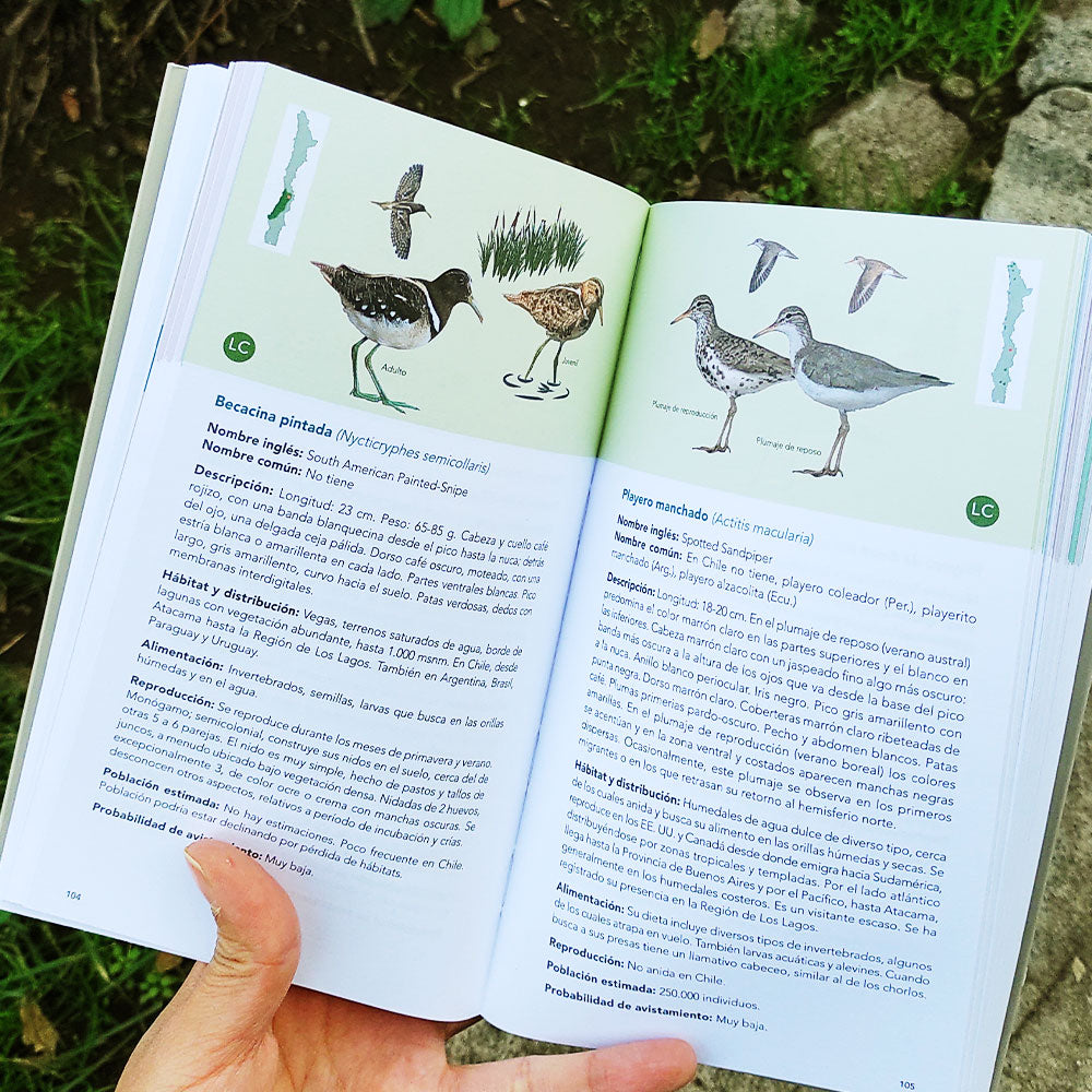 Guía de Campo - Aves de los Humedales Chilenos
