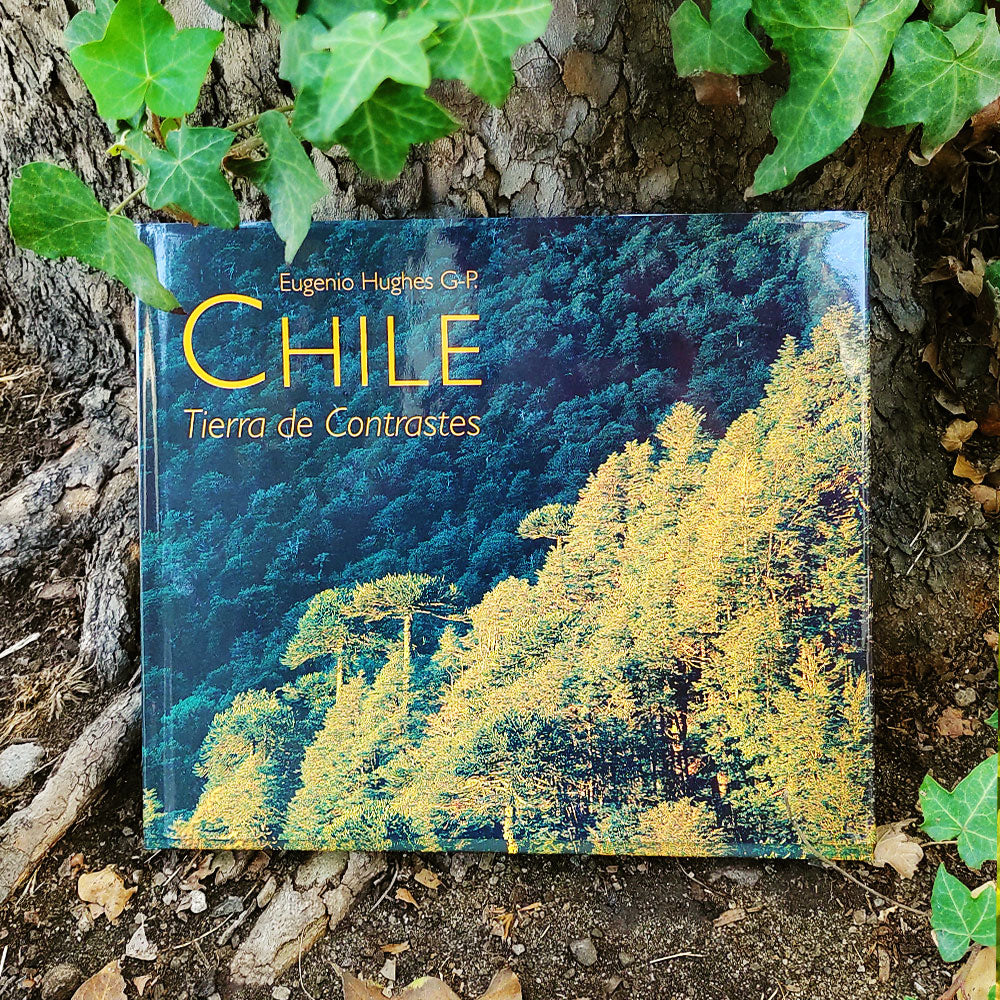 Chile tierra de contrastes