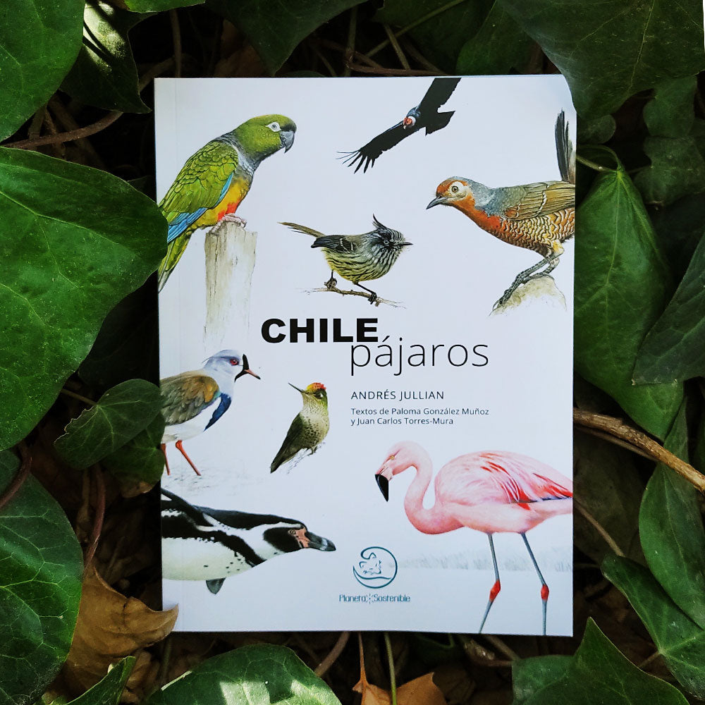 Chile pájaros