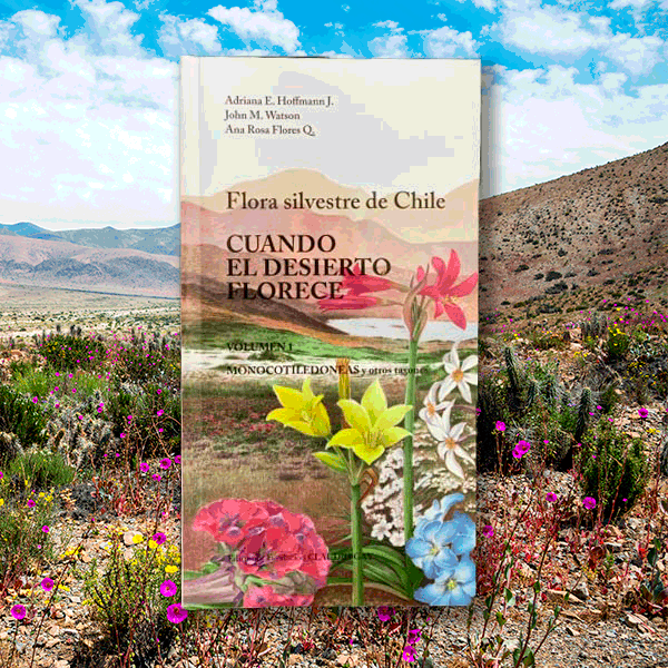 Cuando el Desierto Florece - Adriana Hoffmann