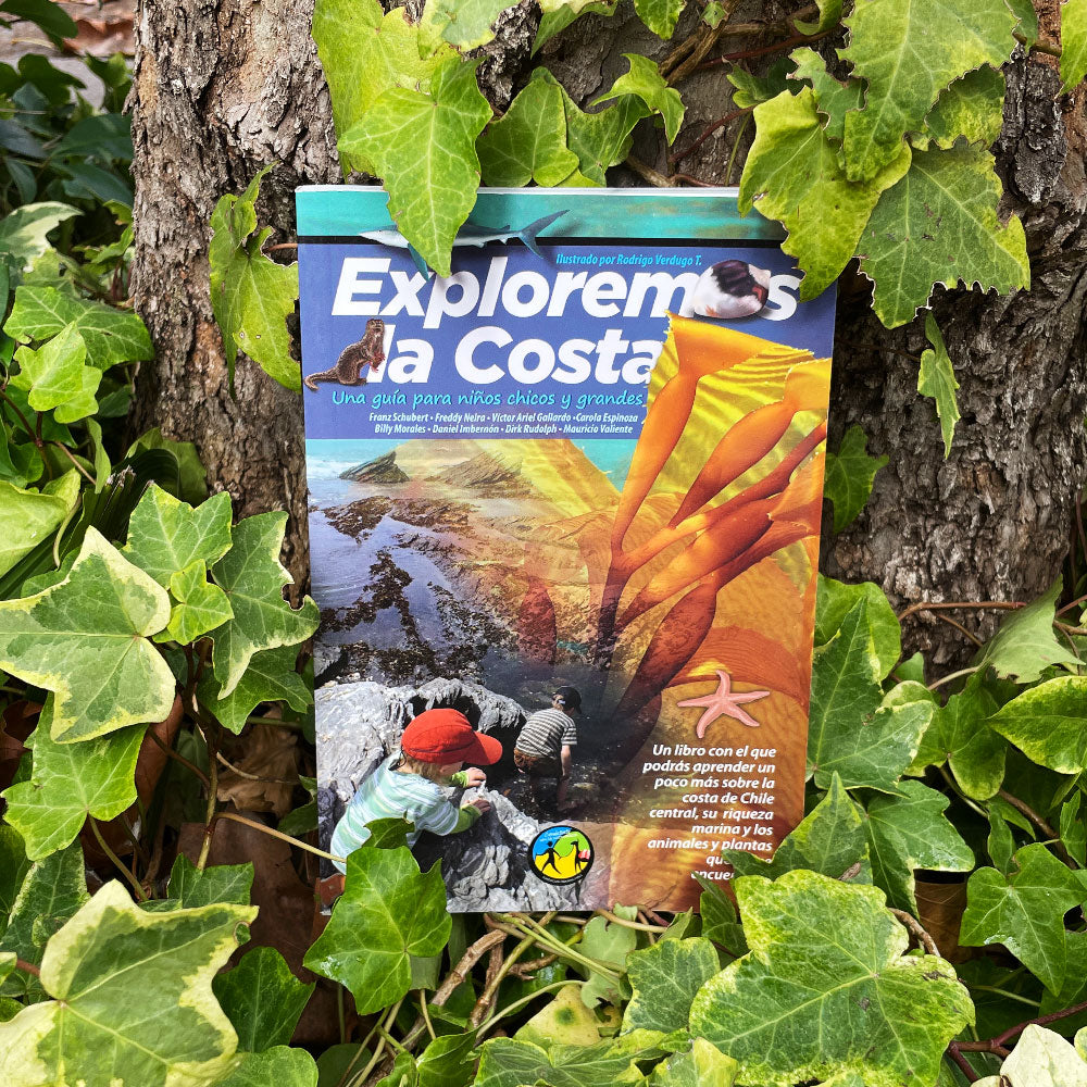 Exploremos la Costa