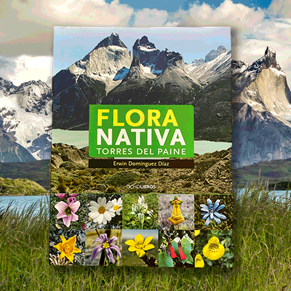 Flora Nativa Torres del Paine
