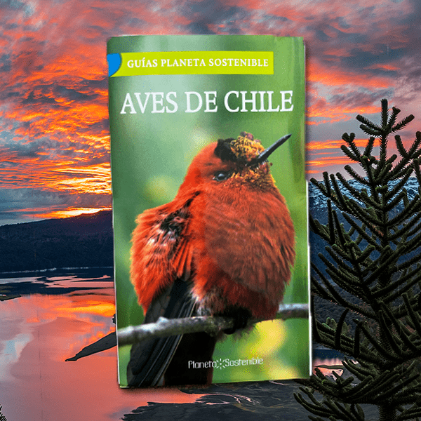 Guía Planeta - Aves de Chile