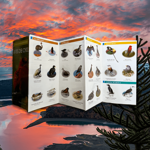 Guía Planeta - Aves de Chile