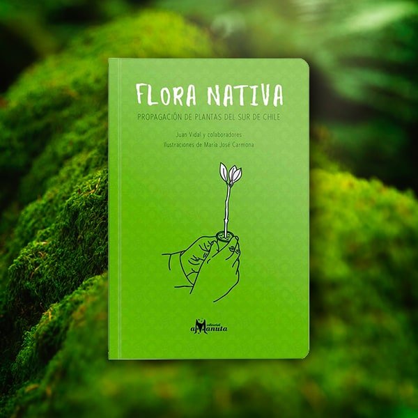 Flora Nativa – Propagación de plantas del sur de Chile