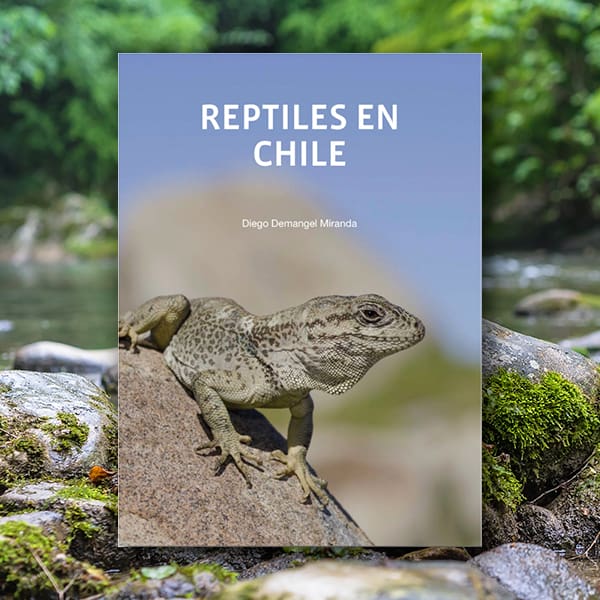 Reptiles en Chile