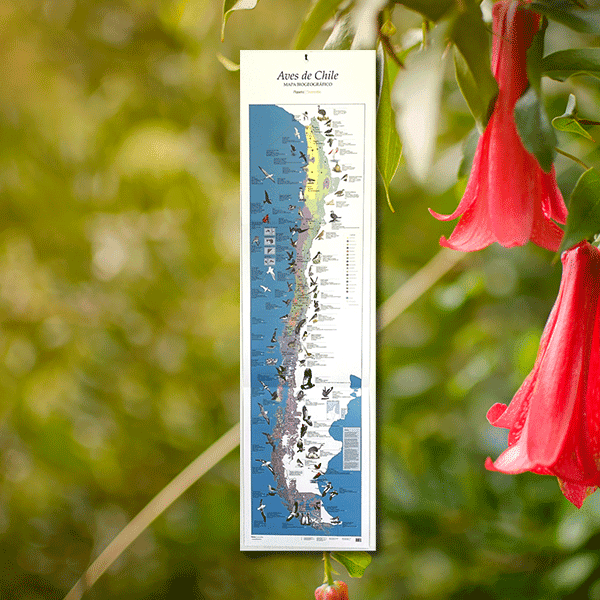 Mapa biogeográfico - Aves de Chile