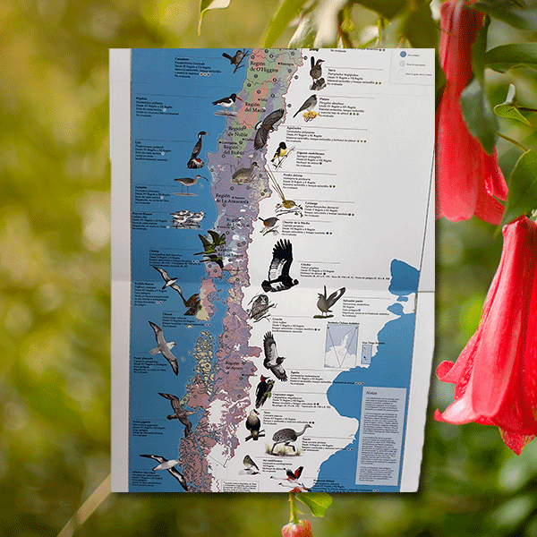 Mapa biogeográfico - Aves de Chile