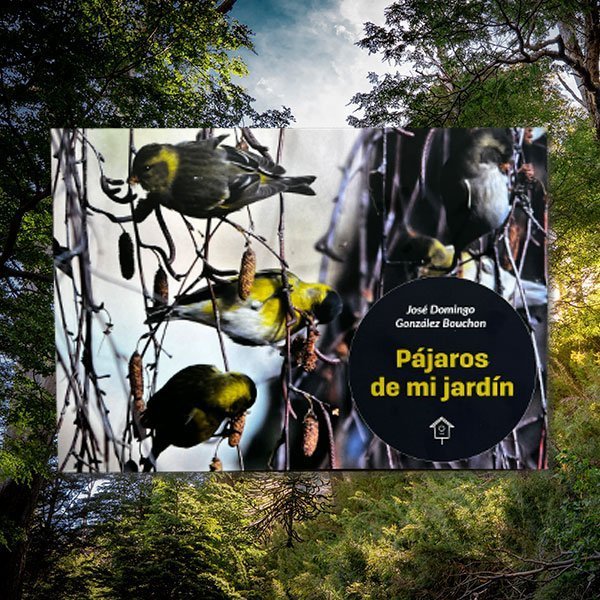 Pájaros de mi jardín