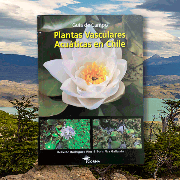 Plantas vasculares acuáticas en Chile