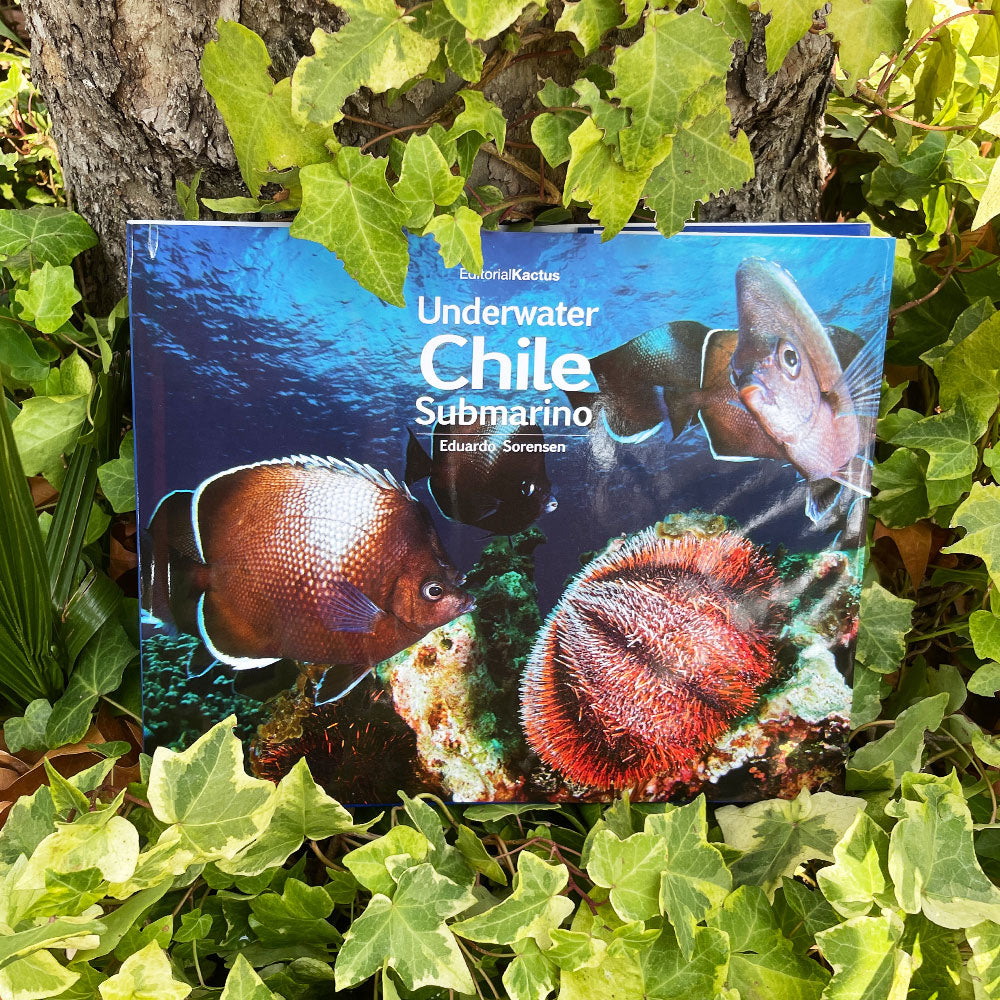 Underwater - Chile Submarino